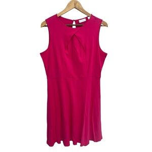 New York & Company Vibrant Pink Sleeveless Round Neck A-Line Dress Size Large